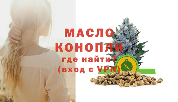 винт Лагань