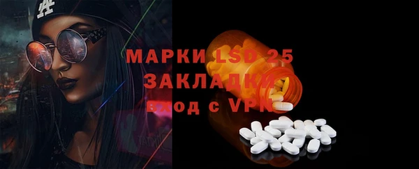 PSILOCYBIN Верея