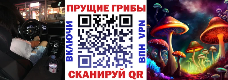 Псилоцибиновые грибы мицелий  дарк нет состав  Канаш  KRAKEN tor 